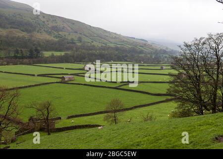 Una mattinata misteriosa a Gunnerside Bottoms, Swaledale, Yorkshire Dales National Park, North Yorkshire, Inghilterra, Regno Unito Foto Stock