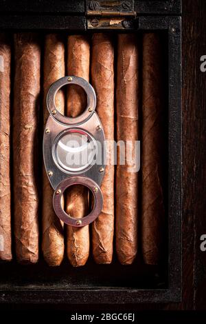 Vista dall'alto dei sigari cubani in legno umidore Foto Stock