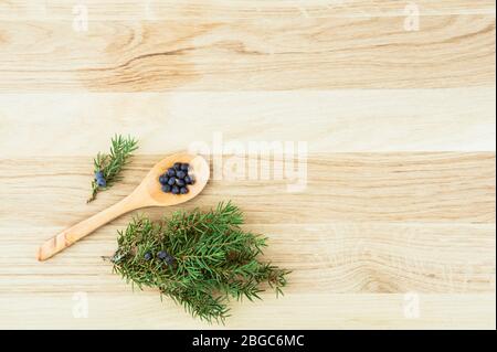 Piatto vista laici Juniper latin Juniperus communis bacche su cucchiaio di legno, ramo di albero di ginepro con conci confidanti e bacche sparse intorno. Foto Stock