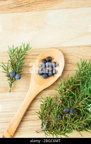 Piatto vista laici Juniper latin Juniperus communis bacche su cucchiaio di legno, ramo di albero di ginepro con conci confidanti e bacche sparse intorno. Foto Stock