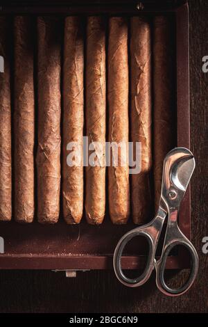 Forbici e sigari di metallo si posano in humidor di legno Foto Stock