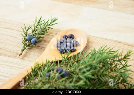 Piatto vista laici Juniper latin Juniperus communis bacche su cucchiaio di legno, ramo di albero di ginepro con conci confidanti e bacche sparse intorno. Foto Stock