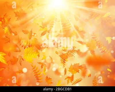 Sfondo autunnale con foglie naturali e luce solare brillante. EPS 10 Illustrazione Vettoriale