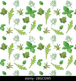 Erbe fresche e aromatiche, erbe e spezie modello vettoriale su sfondo bianco isolato Illustrazione Vettoriale
