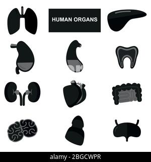 Silhouette di organi umani su sfondo bianco Illustrazione Vettoriale