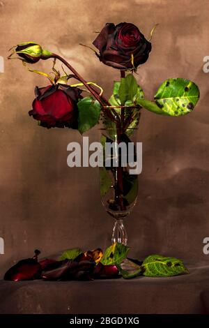 Ancora vita con un bouquet di rose essiccate all'interno di un bicchiere, petali e foglie cadute. Illuminazione per verniciatura leggera. Foto Stock