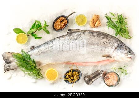 Salmone fresco, girato dall'alto su sfondo bianco con vari condimenti Foto Stock