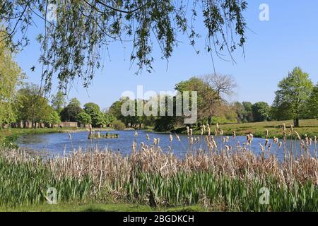 Hampton Wick Pond, Home Park, Hampton Court, East Molesey, Surrey, Inghilterra, Gran Bretagna, Regno Unito, Regno Unito, Europa Foto Stock