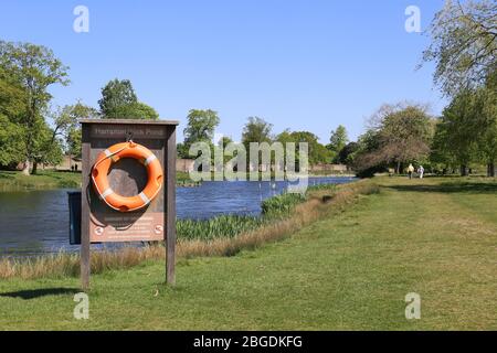 Hampton Wick Pond, Home Park, Hampton Court, East Molesey, Surrey, Inghilterra, Gran Bretagna, Regno Unito, Regno Unito, Europa Foto Stock