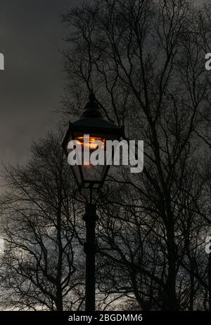Immagine di Moody della luce stradale appena cominciando a brillare al crepuscolo con silhouette di alberi frondeggianti e rami sullo sfondo Foto Stock
