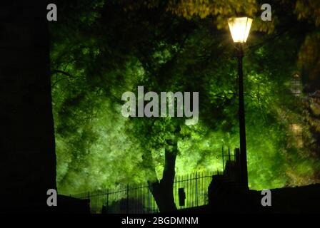 Immagine notturna che mostra la luce della strada, del recinto e della finestra della casa sullo sfondo con foglie di albero che mostrano un movimento sfocato mentre si illumina da dietro Foto Stock