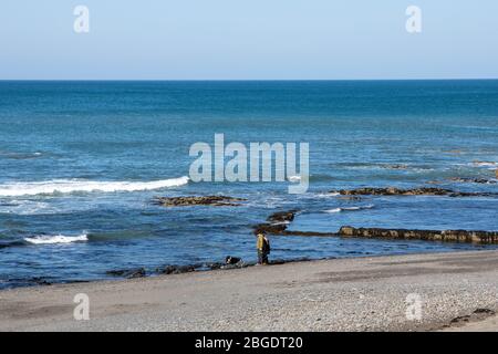 Aberystwyth, Ceredigion, Galles, Regno Unito. 21 Aprile 2020 Regno Unito Meteo: Quasi spiaggia vuota con cielo blu e sole mentre la gente cammina i loro cani lungo la spiaggia sud di Aberystwyth, come da linee guida del governo di esercizio quotidiano consentito. © Ian Jones/Alamy Live News Foto Stock