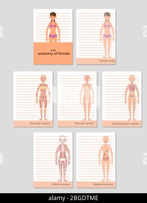 Blocco note per record in formato A6. Anatomia del corpo femminile Illustrazione Vettoriale