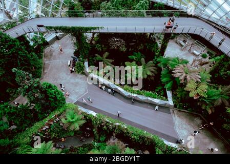 Singapore, Ottobre 2019: Cloud Forest Dome Conservatory at Gardens by the Bay in Singapore. Turisti che camminano sulle piattaforme all'interno della cupola di vetro della serra Foto Stock