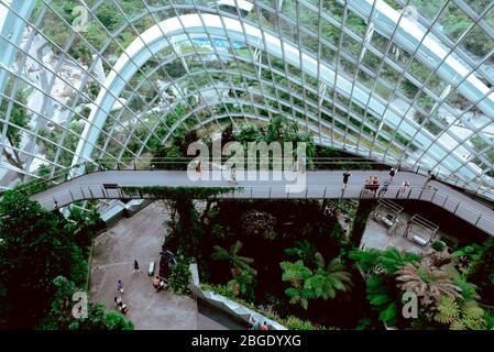 Singapore, Ottobre 2019: Cloud Forest Dome Conservatory at Gardens by the Bay in Singapore. Turisti che camminano sulle piattaforme all'interno della cupola di vetro della serra Foto Stock