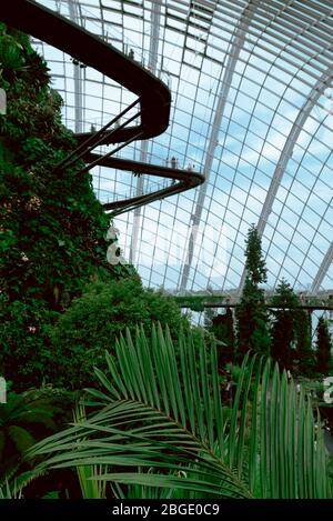 Singapore, Ottobre 2019: Cloud Forest Dome Conservatory at Gardens by the Bay in Singapore. Serra cupola di vetro replica foresta montano tropicale. Clou Foto Stock