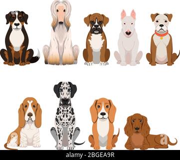 Razze diverse di cane. Gruppo di animali domestici in stile cartoon. Set di illustrazioni vettoriali Illustrazione Vettoriale