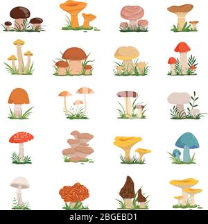 Funghi diversi su erba verde. Set di vettori Illustrazione Vettoriale