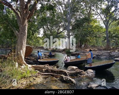 Un gruppo di proprietari di coracle in attesa di clienti a Hogenakkal, Tamilnadu, India Foto Stock