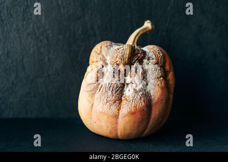 .mold zucca vegetale Foto Stock