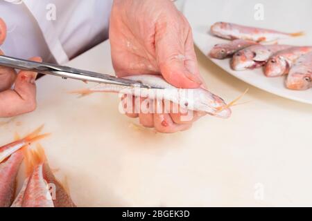 le mani della donna puliscono un triglie rosso su un tagliere Foto Stock