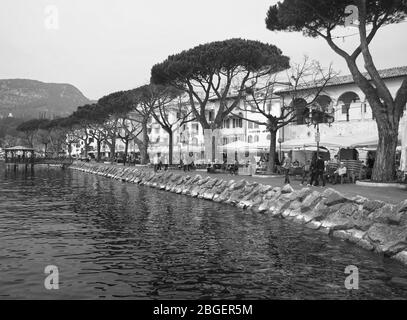 Promenade mit Bäumen und historischen Häusern am See Ufer Foto Stock