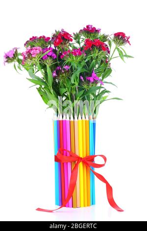 Bellissimi fiori in matite colorate vaso isolato su bianco Foto Stock