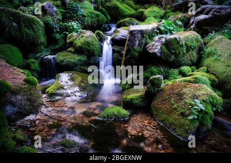 Ruscello d'acqua con piccola cascata che scorre attraverso rocce coperte da muschio Foto Stock