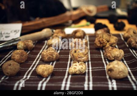 Tartufi bianchi (Tuber Magmatum Pico) su una bancarella di commercianti, Piemonte (Italia) Foto Stock