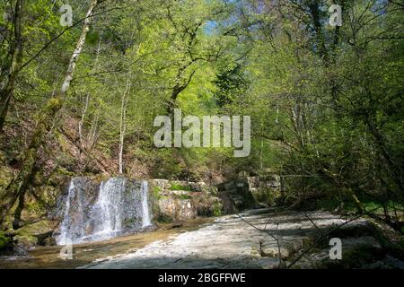 Wasserfall in der Pilouvi-Schlucht oberhalb von la Neuveville am Bielersee Foto Stock