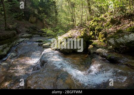 Wasserfall in der Pilouvi-Schlucht oberhalb von la Neuveville am Bielersee Foto Stock