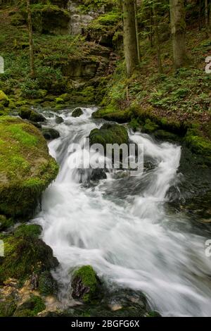 Die Karstquelle des Dou im Berner Jura, Schweiz Foto Stock