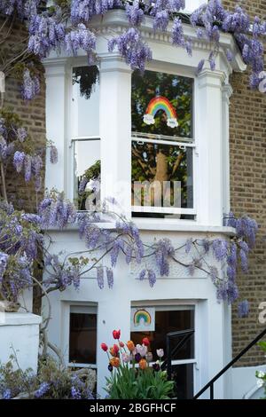 Dipinti arcobaleno che mostrano sostegno e grazie per il NHS nelle finestre delle case a Ealing, Londra. Data foto: Domenica 19 aprile 2020. Foto: Roger G. Foto Stock