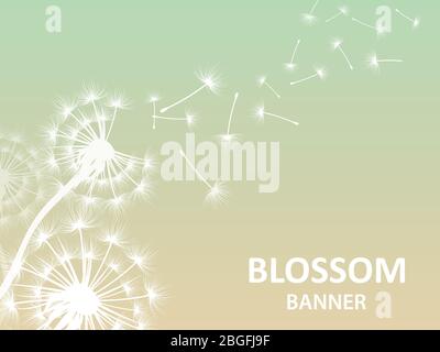 Blossom banner sfondo con dandelion bianco silhouette. Silhouette floreale in fiore, dente di leone soffice, illustrazione vettoriale Illustrazione Vettoriale