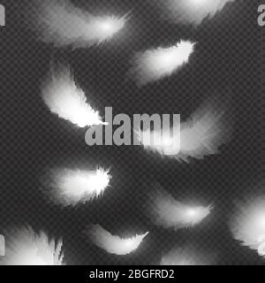 Caduta di realistiche penne bianche isolate su sfondo nero illustrazione vettoriale. Piuma in discesa, bianco soffice Illustrazione Vettoriale