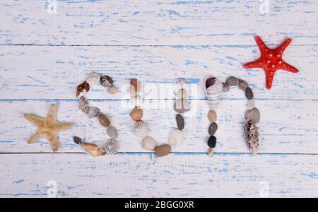 Sole di parola fatto da conchiglie di mare e pietre su sfondo di legno Foto Stock