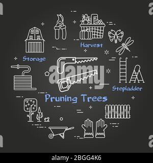 Vettoriale lineare nero giardinaggio e agricoltura - alberi di Pruning Illustrazione Vettoriale