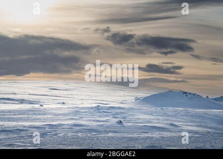 La natura selvaggia coperta di neve di Contra Jour, l'Islanda nord-orientale in inverno. Prima serata con un basso sole Foto Stock