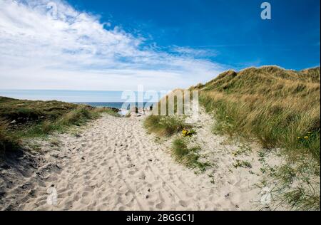 Un sentiero lungo le dune per Refsnestranda spiaggia in una bella giornata di sole vicino a Naerbo, Norvegia, maggio 2018 Foto Stock