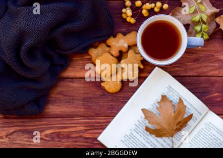 Disposizione autunnale con tè caldo con limone su un maglione e foglie secche. Sfondo marrone. Libro. Foto Stock