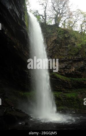 Cascate di Henrhyd / Sgwd Henrhyd. Con i suoi 90 metri, questa è la cascata più alta del Galles del Sud. Foto Stock