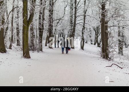 Persone che camminano su un sentiero nevoso a Normafa nelle colline di Buda in inverno Foto Stock