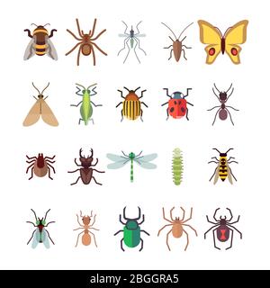Icone insetti piatti. Farfalla, libellula, ragni, formica isolata su sfondo bianco. Vettore insetto ladybug e coleottero, libellula e farfalla illustrazione Illustrazione Vettoriale