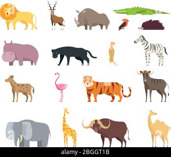 Cartoon animali savana africani. Safari in zoo selvaggio con mammiferi, rettili e uccelli, insieme isolato su sfondo bianco. Zebra selvatica, yak, tigre e giraffa, leone e elefante illustrazione Illustrazione Vettoriale