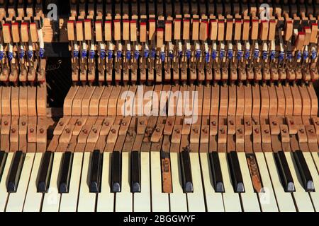 Un pianoforte vecchio e dimenticato in un parco cittadino. La vista della tastiera rotta e del meccanismo del martello (fenger) del piano stradale primo piano Foto Stock