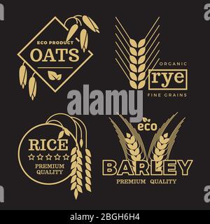 Oro biologico grano agricoltura agricoltura vettore logo impostato su sfondo nero. Illustrazione di riso e orzo, segale e su emblema Illustrazione Vettoriale