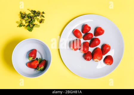 Due piatti blu con fragole su sfondo giallo. Strofinare le fragole dalle foglie verdi Foto Stock