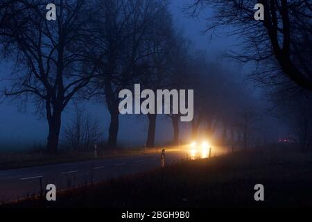 Ein Auto bei anbruch der Nacht auf einer Landstraße / Allee Foto Stock