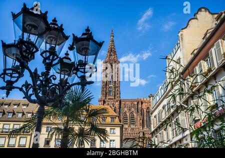 La guglia della Cattedrale di Strasburgo domina il centro storico della città, Strasburgo, Alsazia, Francia Foto Stock