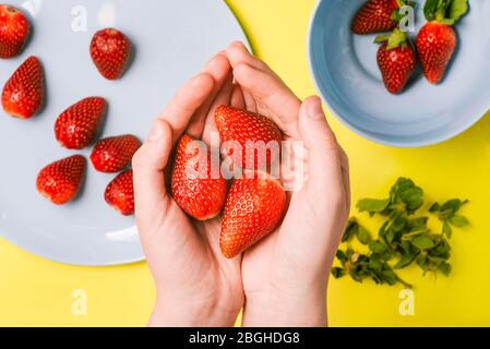 Manciata di fragole in mano femminile. Strofinare le fragole dalle foglie verdi. Due piatti blu con fragole su sfondo giallo. Vista dall'alto, Foto Stock